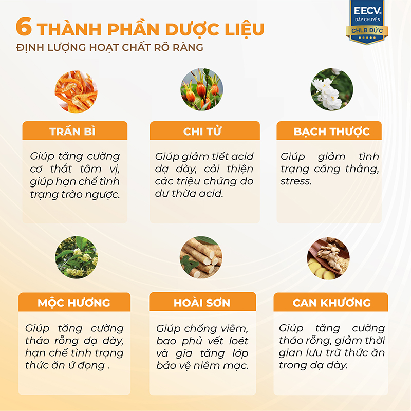 thanh phan anvitra vang