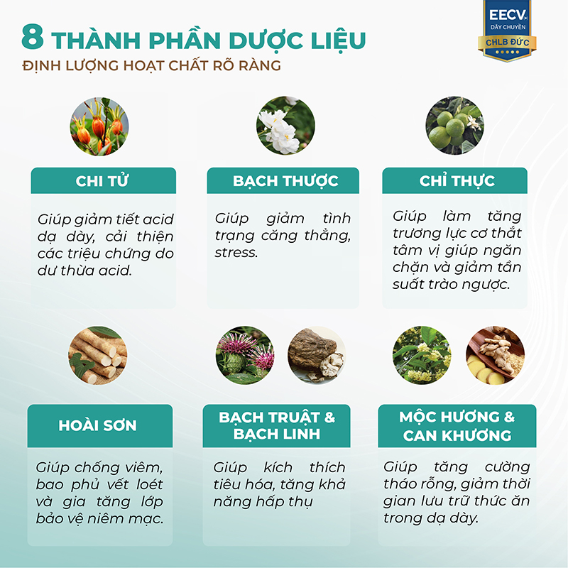 thanh phan anvitra xanh